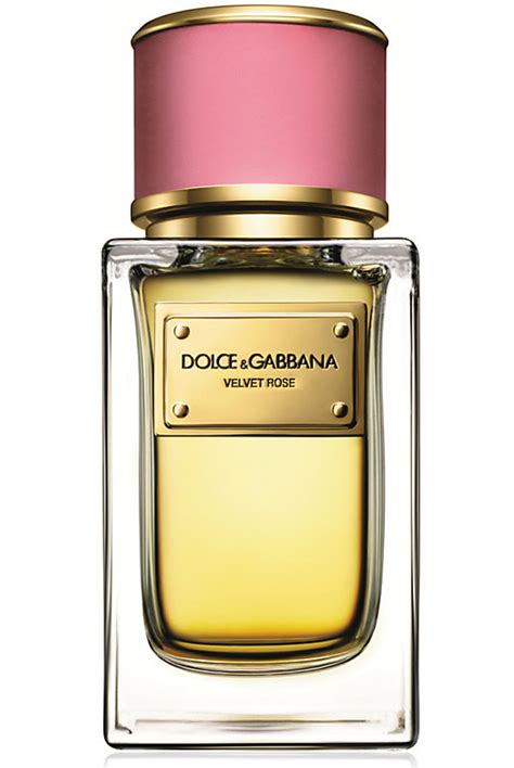 dolce gabbana perfumes women best